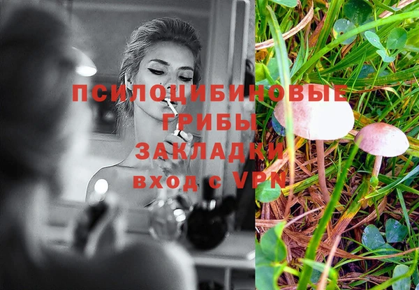 мдма Гусиноозёрск